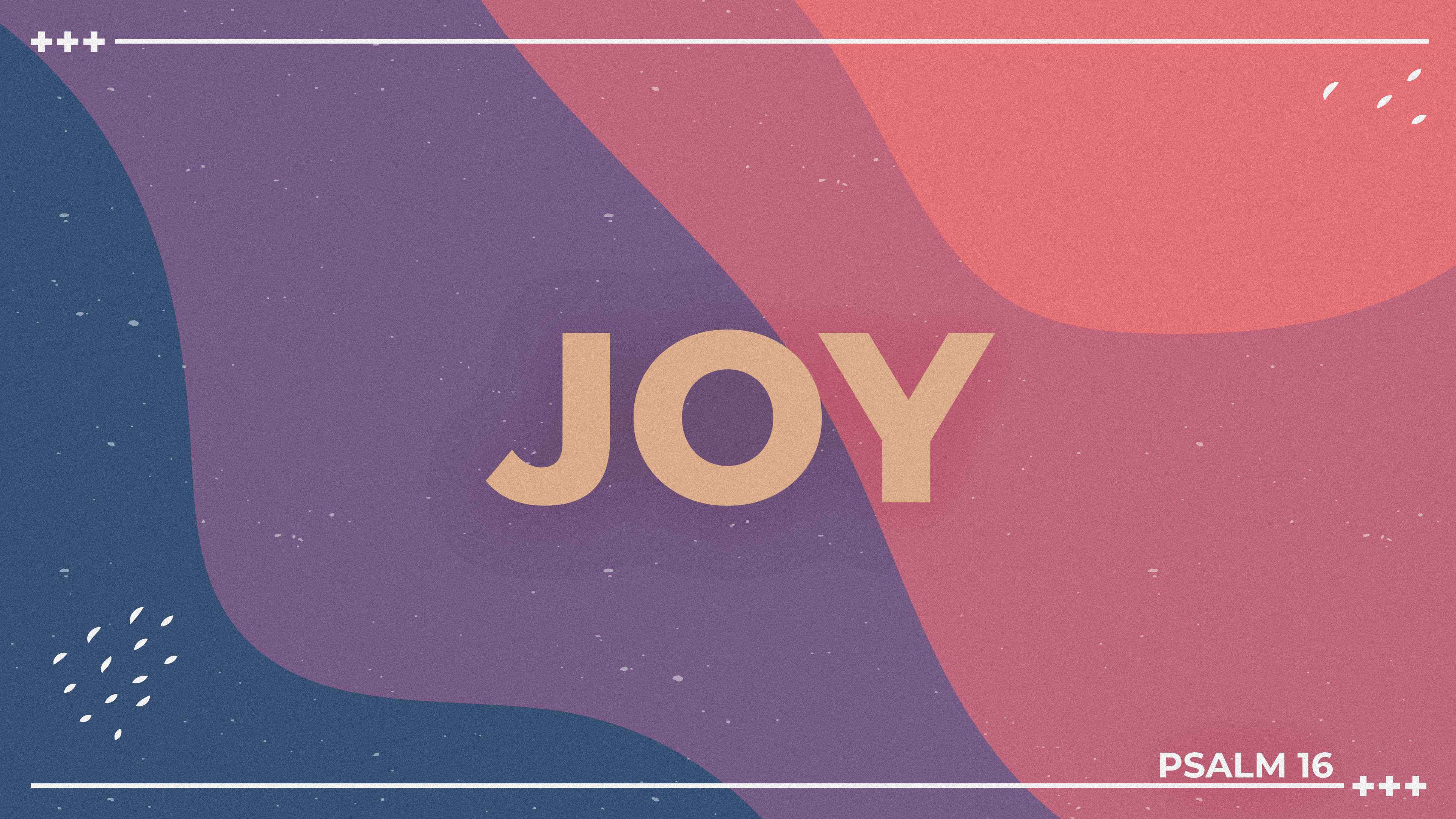 Featured image for “Joy”