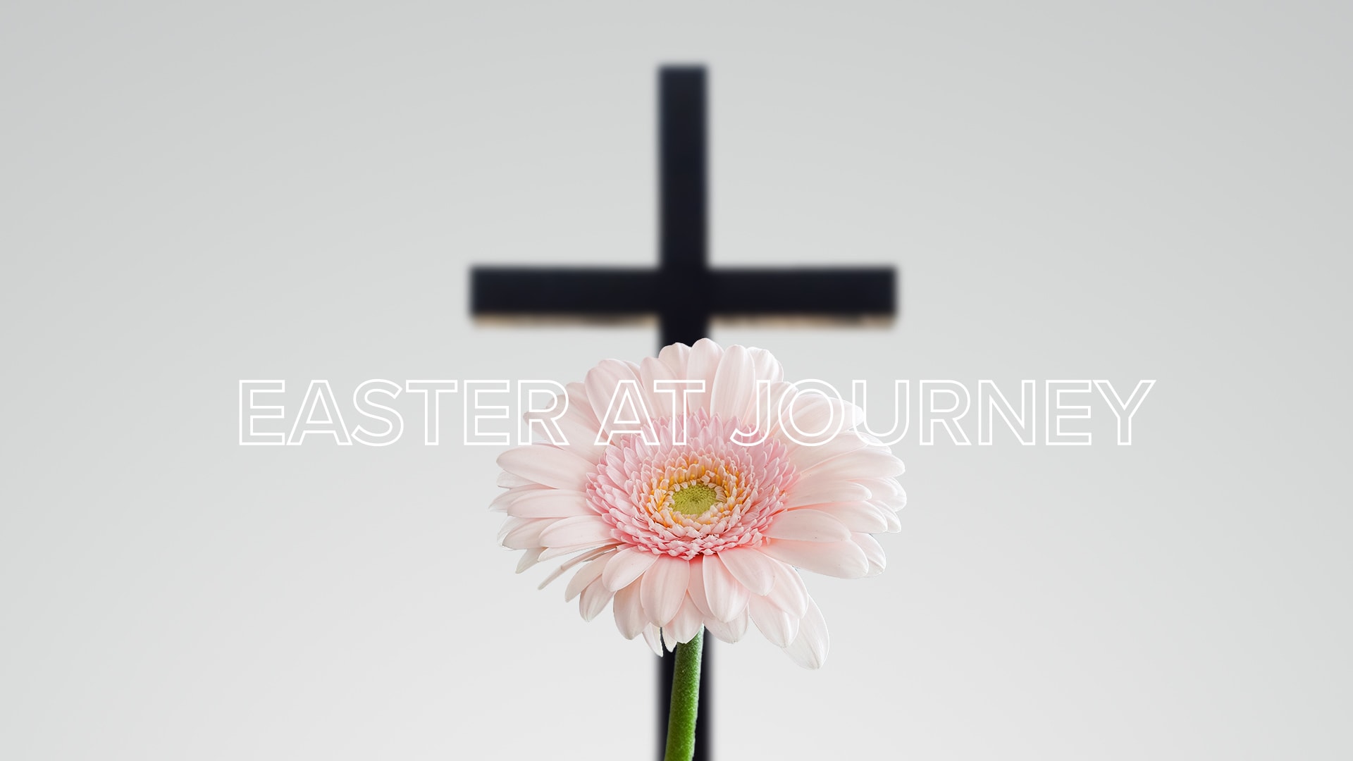 Featured image for “Easter at Journey”